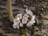 img0051.jpg