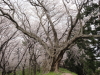 img0055.jpg