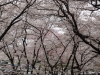 img0056.jpg