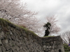 img0057.jpg