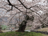 img0059.jpg