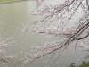 img0061.jpg