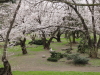 img0063.jpg