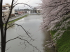 img0064.jpg