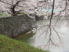 img0067.jpg