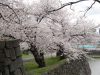 img0068.jpg