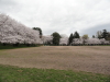 img0071.jpg