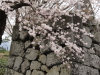 img0073.jpg