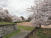 img0074.jpg