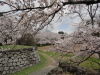 img0076.jpg