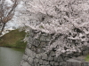 img0083.jpg