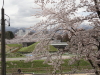 img0088.jpg