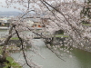 img0089.jpg