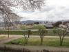 img0091.jpg