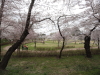 img0096.jpg
