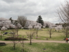 img0100.jpg