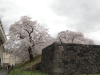 img0101.jpg