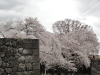 img0104.jpg