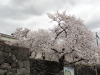 img0105.jpg