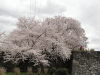 img0106.jpg