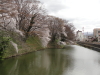 img0107.jpg