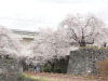 img0108.jpg