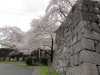 img0110.jpg