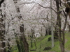 img0112.jpg