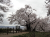 img0113.jpg