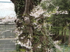 img0115.jpg