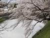 img0116.jpg