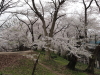 img0117.jpg