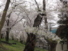 img0118.jpg