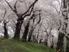 img0119.jpg