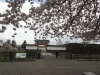 img0121.jpg
