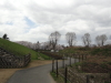 img0123.jpg