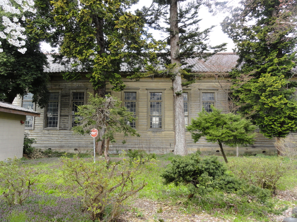 img0005.jpg