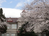 img0003.jpg