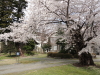 img0028.jpg
