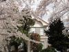 img0029.jpg