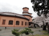 img0016.jpg