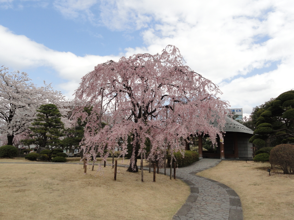 img0018.jpg