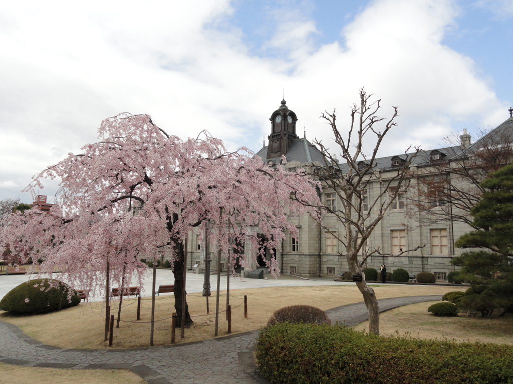 img0020.jpg