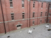img0036.jpg