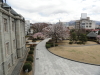 img0039.jpg