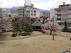 img0040.jpg