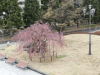 img0042.jpg