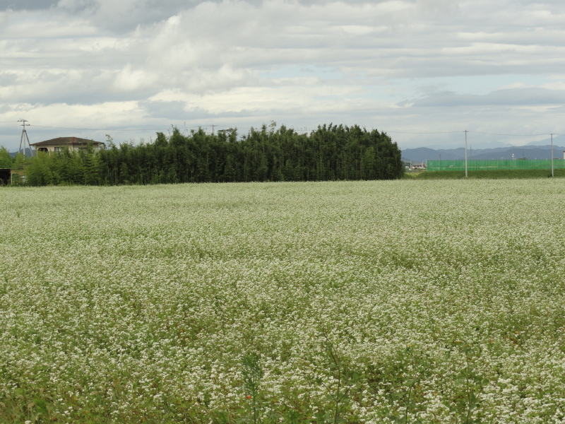 img0019.jpg