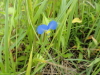 img0002.jpg