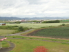 img0011.jpg